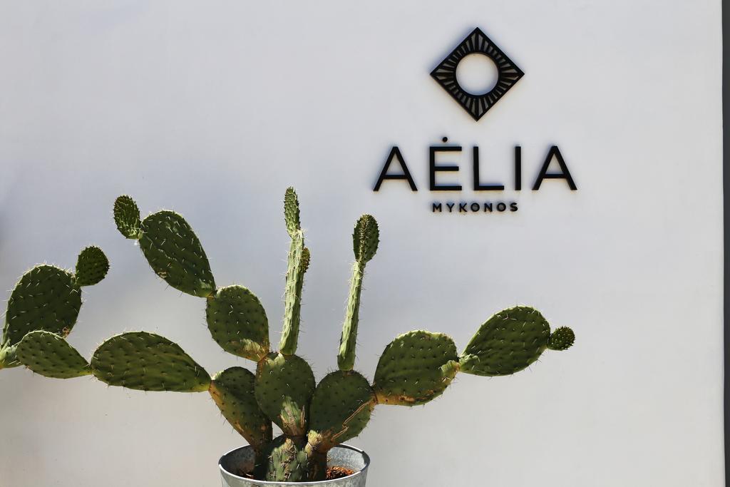 Aelia Mykonos Ornos (Mykonos) Exterior foto