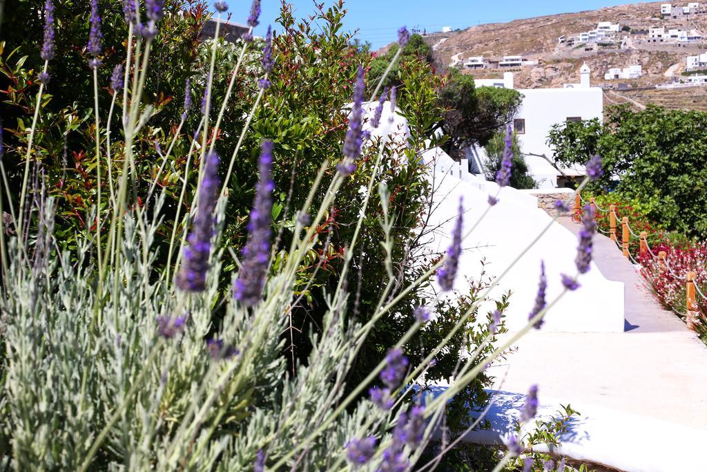 Aelia Mykonos Ornos (Mykonos) Exterior foto